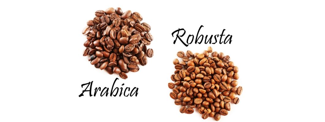 Arabica vagy Robusta kávé?
