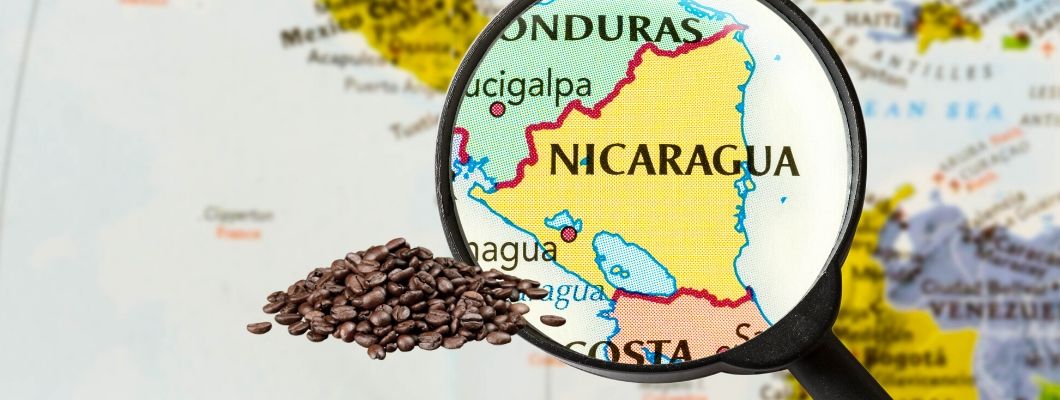 Nicaraguai arabica